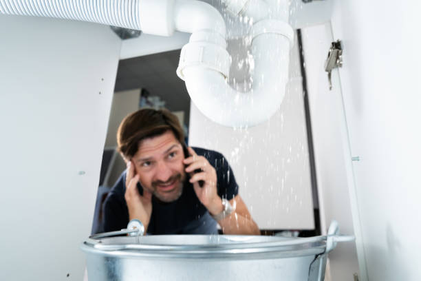 Best Plumbing Services Near Me  in Siloam Springs, AR